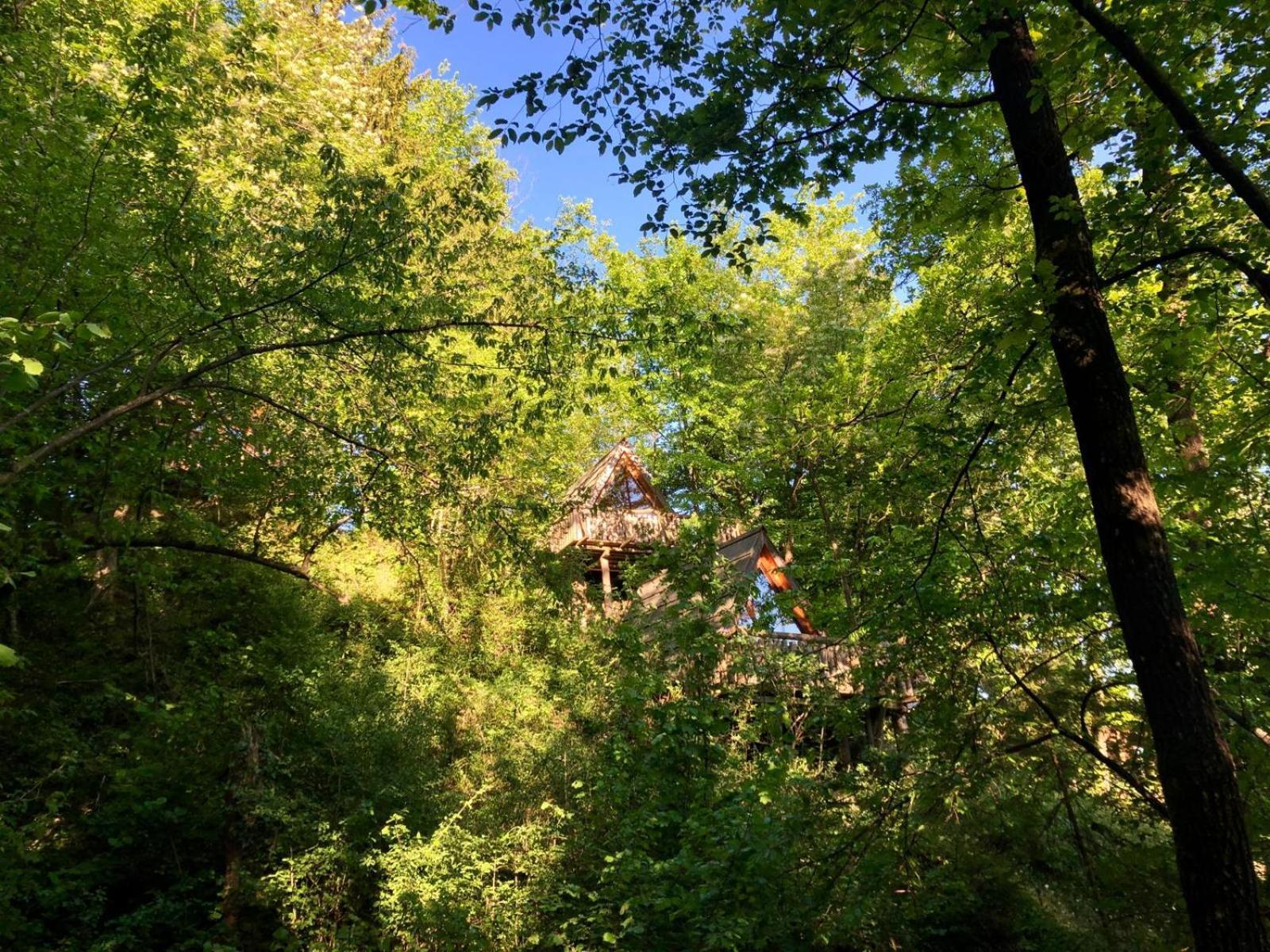 ホテル Glamping Savinja リュブノ エクステリア 写真